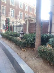 -米莱摄影写真(五大道别墅店)