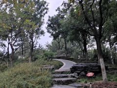 -西海子公园