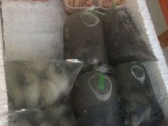 -姚林轩