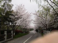 -尚贤河湿地