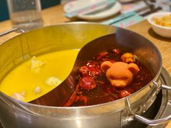 -青瓷火锅料理(西单大悦城店)