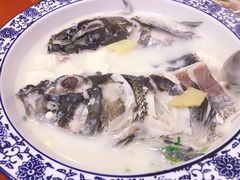 -全乐鱼馆·淳牌有机鱼直营店