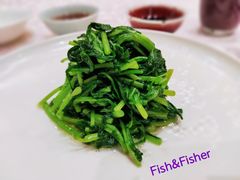 清炒时蔬-新光酒家·河豚·海鲜·蟹料理(浦东店)