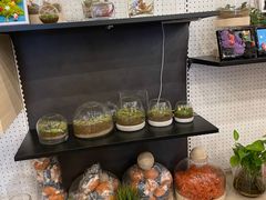 -光海书局(南京东路第一百货店)