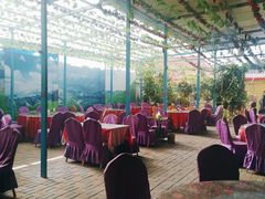 大堂-马白开来特色羊排揪片子  (总店)