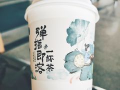 -茶颜悦色(黄花机场店)
