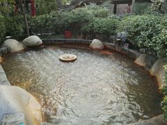 -西安国际创新人才交流中心•药浴温泉