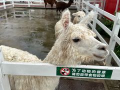 -齐齐哈尔龙沙动植物园