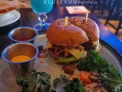 -bluefrog蓝蛙(皇庭广场店)