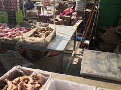 -何庄子阿米玛玛农产品批发市场
