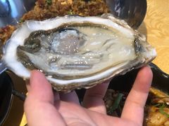 -陈记高压锅鱼头·生蚝