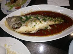 -金泽大酒店·卢塞恩餐厅·年夜饭春节连市