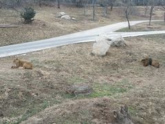 -西安秦岭野生动物园