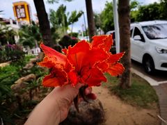 -三亚亚龙湾天域度假酒店