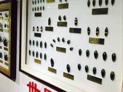 -上海昆虫博物馆