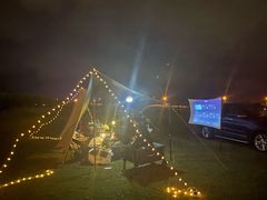 -春花秋色城市公园