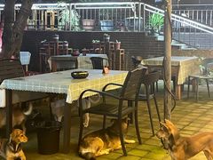 -张鸟园农家乐(张鸟园店)