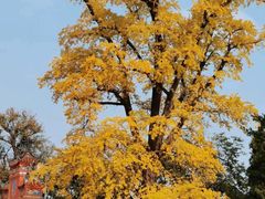 -金堂县云顶石城风景区
