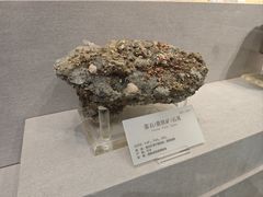 -湖南省地质博物馆
