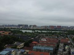 -梧桐餐厅(泉城路店)