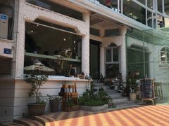 -有猫主题·治愈系猫咖(曾厝垵店)