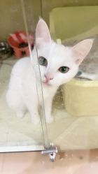 -染墨儿童摄影(转塘店)