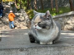 -四门塔风景区