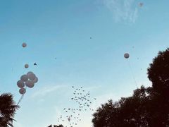 -上海安亭别墅花园酒店