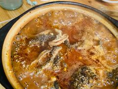 砂锅羊肚-砂锅店