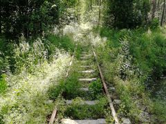 -合肥滨湖国家森林公园