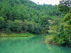 -广州白江湖森林公园