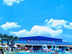 -秦皇岛乐岛海洋王国