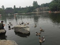 -西安秦岭野生动物园