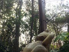 -天目湖涵田半山温泉