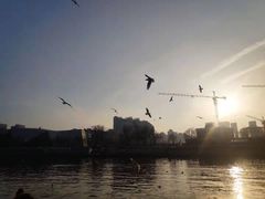 景点-海河游船-永乐码头(大悲院)