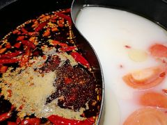 -销魂美蛙鱼头火锅(上海首店)