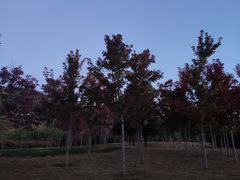 -鬼笑石后山停车场