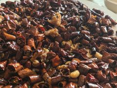 歌乐山辣子鸡-辣婆婆(航天桥店)