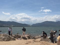 -西昌邛海湿地