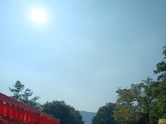 -风云岭森林公园