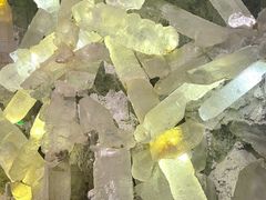 -湖南省地质博物馆