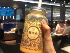 -野萃山·潮汕厚果汁(十亩地店)