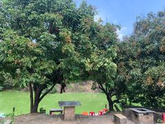-牙山果园·烧烤野炊·钓鱼团建·烤全羊