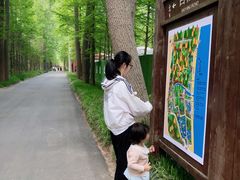 -日照海滨国家森林公园