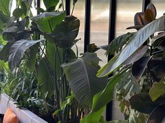 -Laures·月桂西班牙碳烤餐厅(十尚坊店)