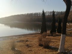 -丁香湖公园