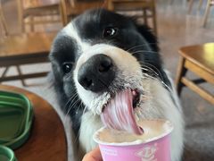 -华农酸奶(五山直营店)