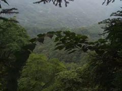 -青城山