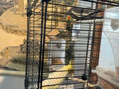 -阜昌典当行(阜成门店)