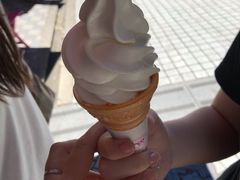 -神户六甲牧场(北野本店)